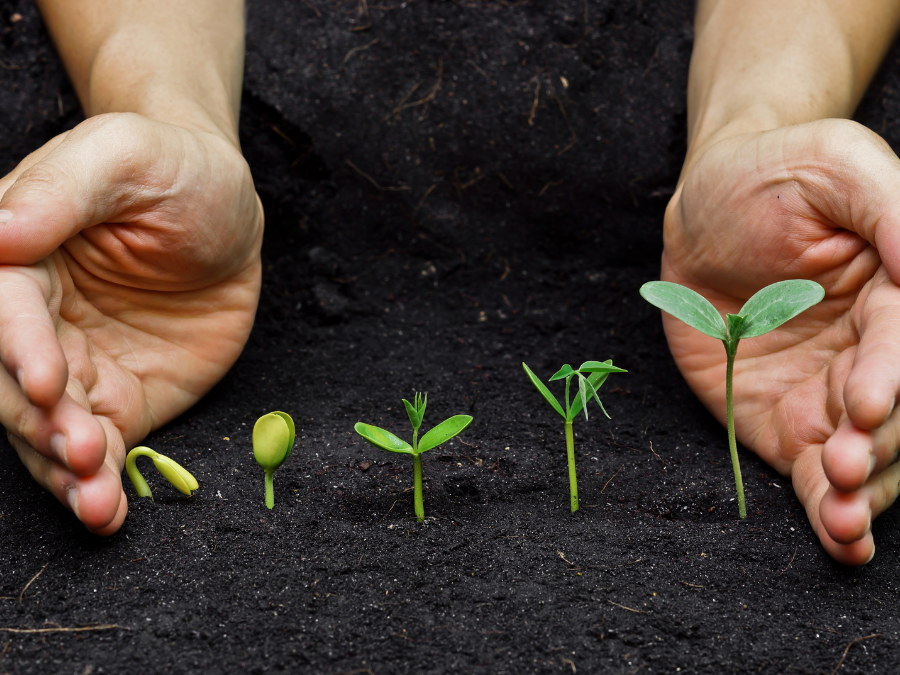 De geboorte van een nieuw zorgbedrijf